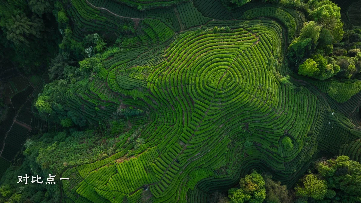 对比点一
