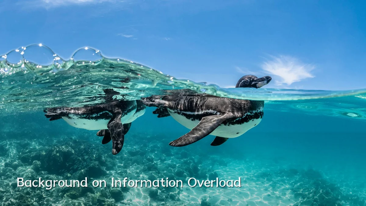 Background on Information Overload