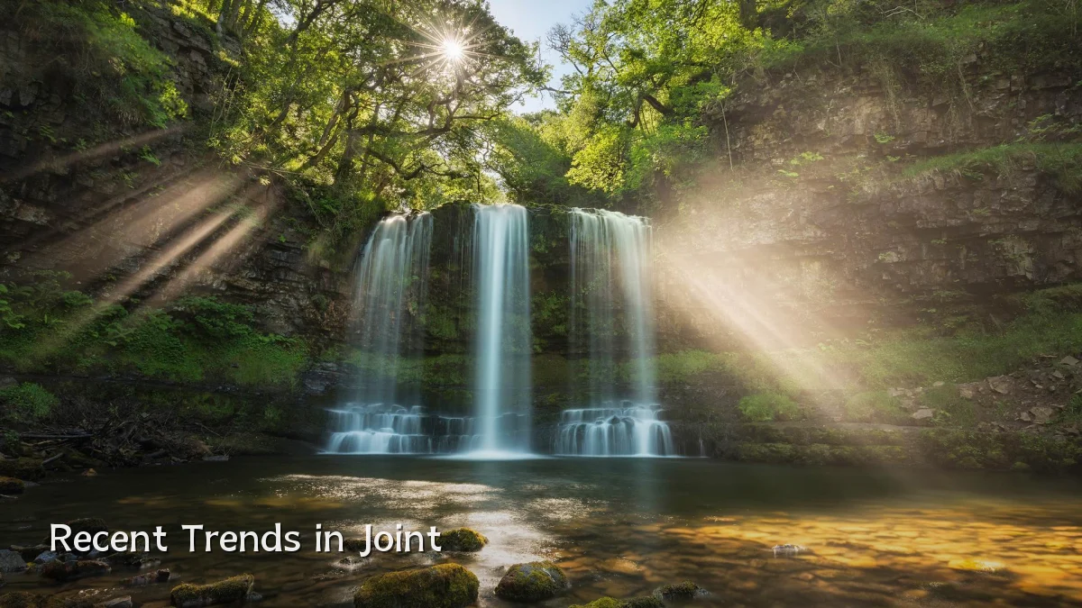 Recent Trends in Joint